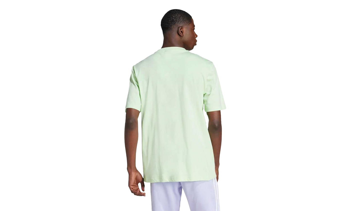 Adicolor Trefoil T-Shirt "Semi Green Spark" ir7979