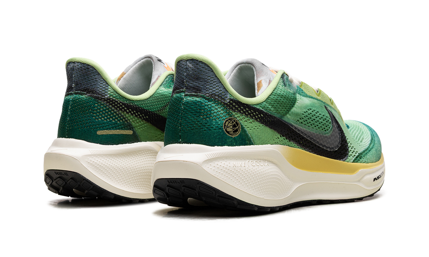 Air Zoom Pegasus 41 "Waffle Racer" IH3583 999