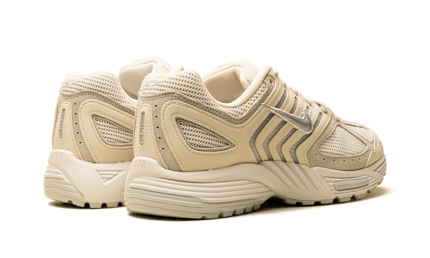 Air Pegasus 2005 SE "Platinum/Metallic Platinum" IB2983 001