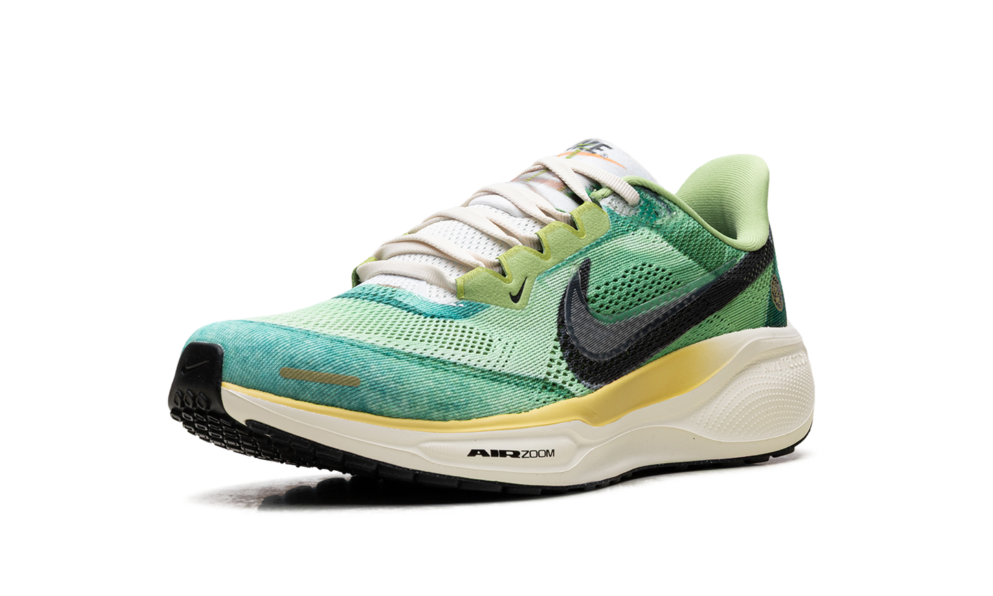 Air Zoom Pegasus 41 "Waffle Racer" IH3583 999